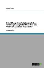 Entwicklung eines heilpädagogischen Handlungskonzepts für Menschen mit Friedreich-Ataxie im Jugendalter