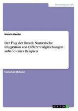 Der Flug der Brezel: Numerische Integration von Differentialgleichungen anhand eines Beispiels