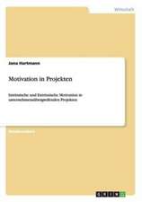 Motivation in Projekten