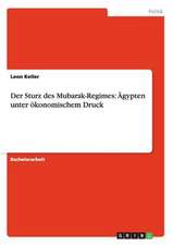 Der Sturz des Mubarak-Regimes: Ägypten unter ökonomischem Druck