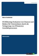 IT-Offshoring: Evaluation von Chancen und Risiken für Unternehmen durch die Verlagerung von IT-basierten Geschäftsprozessen