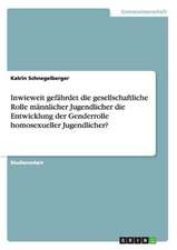 Inwieweit gefährdet die gesellschaftliche Rolle männlicher Jugendlicher die Entwicklung der Genderrolle homosexueller Jugendlicher?