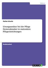 Lösungsansätze bei der Pflege Demenzkranker in stationären Pflegeeinrichtungen