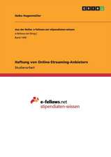 Haftung von Online-Streaming-Anbietern