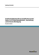 Kreditwürdigkeitsprüfung mit Hilfe Neuronaler Netze im Privatkundengeschäft - Darstellung und kritische Würdigung