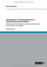 Management von Währungsrisiken in internationalen Unternehmen