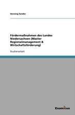 Fördermaßnahmen des Landes Niedersachsen (Master Regionalmanagement & Wirtschaftsförderung)