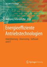 Energieeffiziente Antriebstechnologien: Hybridisierung - Downsizing - Software und IT