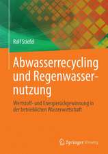 Abwasserrecycling und Regenwassernutzung: Wertstoff- und Energierückgewinnung in der betrieblichen Wasserwirtschaft