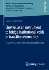 Clusters as an instrument to bridge institutional voids in transition economies: Lessons learned from Southeast Europe