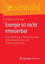 Energie ist nicht erneuerbar: Eine Einführung in Thermodynamik, Elektromagnetismus und Strömungsmechanik