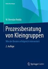 Prozessberatung von Kleingruppen: Wie der Berater erfolgreich interveniert