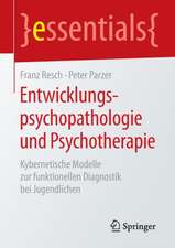 Entwicklungspsychopathologie und Psychotherapie: Kybernetische Modelle zur funktionellen Diagnostik bei Jugendlichen