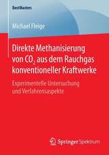 Direkte Methanisierung von CO2 aus dem Rauchgas konventioneller Kraftwerke: Experimentelle Untersuchung und Verfahrensaspekte