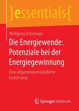 Die Energiewende: Potenziale bei der Energiegewinnung: Eine allgemeinverständliche Einführung