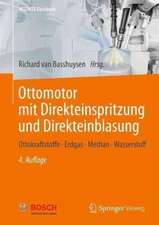 Ottomotor mit Direkteinspritzung und Direkteinblasung: Ottokraftstoffe, Erdgas, Methan, Wasserstoff