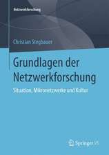 Grundlagen der Netzwerkforschung: Situation, Mikronetzwerke und Kultur