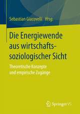 Die Energiewende aus wirtschaftssoziologischer Sicht: Theoretische Konzepte und empirische Zugänge