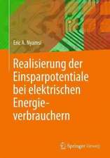 Realisierung der Einsparpotentiale bei elektrischen Energieverbrauchern