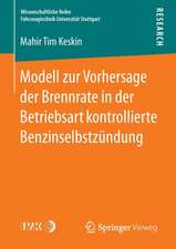 Modell zur Vorhersage der Brennrate in der Betriebsart kontrollierte Benzinselbstzündung