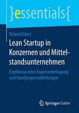 Lean Startup in Konzernen und Mittelstandsunternehmen: Ergebnisse einer Expertenbefragung und Handlungsempfehlungen