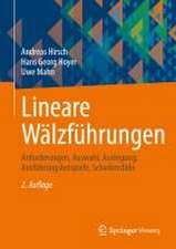 Lineare Wälzführungen: Anforderungen, Auswahl, Auslegung, Ausführungsbeispiele, Schadensfälle