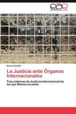 La Justicia Ante Organos Internacionales