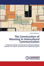 The Construction of Meaning in Intercultural Communication