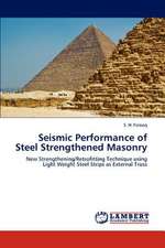 Seismic Performance of Steel Strengthened Masonry