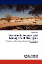 Wasteland: Account and Management Strategies