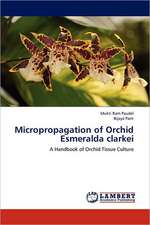 Micropropagation of Orchid Esmeralda clarkei