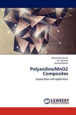 Polyaniline/MnO2 Composites