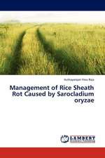 Management of Rice Sheath Rot Caused by Sarocladium oryzae