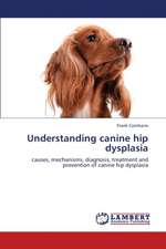 Understanding canine hip dysplasia