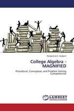 College Algebra - MAGNIFIED