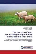 The menace of non penetrating foreign bodies in small ruminants, India