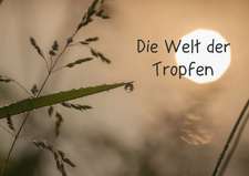 Die Welt der Tropfen (Posterbuch DIN A4 quer)