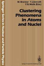 Clustering Phenomena in Atoms and Nuclei: International Conference on Nuclear and Atomic Clusters, 1991, European Physical Society Topical Conference, Åbo Akademi, Turku, Finland, June 3–7, 1991