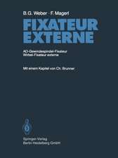 Fixateur Externe: AO-Gewindespindel-Fixateur Wirbel-Fixateur externe