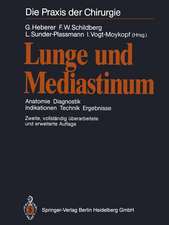 Lunge und Mediastinum: Anatomie Diagnostik Indikationen Technik Ergebnisse