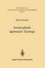 Semisimpliziale algebraische Topologie