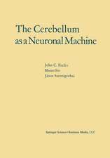 The Cerebellum as a Neuronal Machine