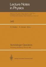 Schrödinger Operators: Proceedings of the Nordic Summer School in Mathematics Held at Sandbjerg Slot, Sønderborg, Denmark, August 1–12, 1988