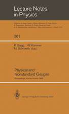 Physical and Nonstandard Gauges: Proceedings of a Workshop Organized at the Institute for Theoretical Physics of the Technical University, Vienna, Austria September 19–23, 1989