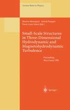 Small-Scale Structures in Three-Dimensional Hydrodynamic and Magnetohydrodynamic Turbulence: Proceedings of a Workshop Held at Nice, France, 10–13 January 1995