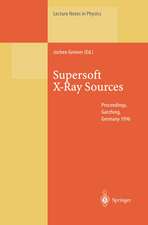 Supersoft X-Ray Sources: Proceedings of the International Workshop Held in Garching, Germany, 28 February – 1 March 1996