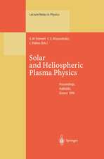 Solar and Heliospheric Plasma Physics: Proceedings of the 8th European Meeting on Solar Physics Held at Halkidiki, Greece, 13–18 May 1996