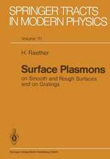 Surface Plasmons on Smooth and Rough Surfaces and on Gratings