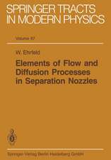 Elements of Flow and Diffusion Processes in Separation Nozzles