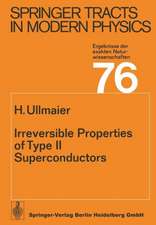 Irreversible Properties of Type II Superconductors